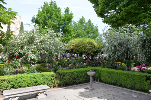 Gardens and Grounds of the Alhambra.